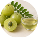 Amla Extract