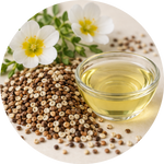 Meadowfoam Seed Oil