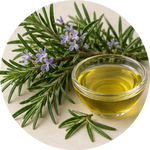 Rosemary Extract